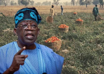 Tinubu Highlights Fertiliser Initiative, Says Nigeria Strengthening Food Security Through Renewed Hope Programmes