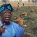 Tinubu Highlights Fertiliser Initiative, Says Nigeria Strengthening Food Security Through Renewed Hope Programmes