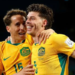 Australia stun Turkey 2-0 in World Cup Group D clash