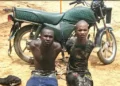 Troops Recover Rustled Livestock, Arrest Suspected Bandits, Restore Order In Kaduna Operations