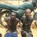 Troops Recover Rustled Livestock, Arrest Suspected Bandits, Restore Order In Kaduna Operations