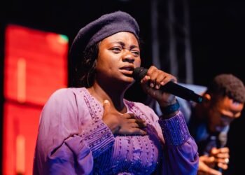 Yinka Alaseyori: When Social Media ‘Drags’ Like Jungle Justice