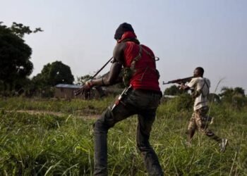 Suspected Armed Herdsmen Unleashing Terror On Us, Delta Community, Leader Alleges