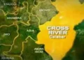Cross River State begins removal of dangerous trees after Bolt Driver injured in Calabar incident