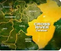 Cross River State begins removal of dangerous trees after Bolt Driver injured in Calabar incident