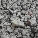 Powerful El Niño Warning