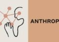 AI giant Anthropic plans to sell shares in US as valuation nears $1tn