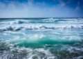 World Ocean Day