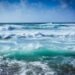 World Ocean Day