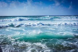World Ocean Day