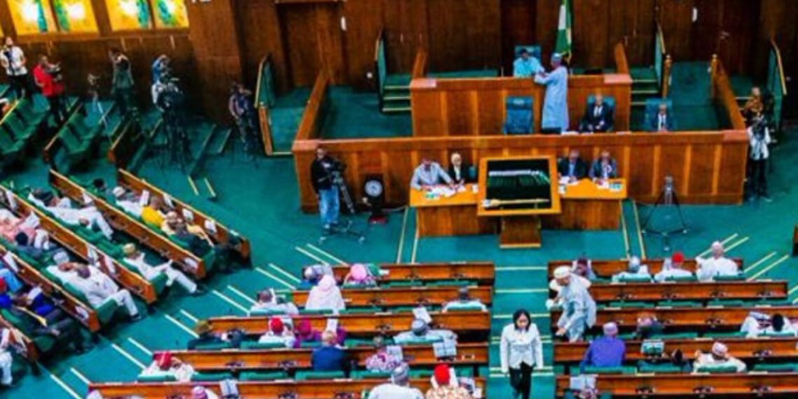 Reps back state police, adopt 18 constitutional amendment proposals