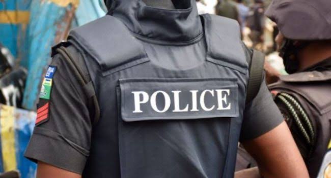 Adamawa police arrest two suspected armed robbers, recover weapons, stolen items