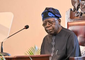 Tinubu Never Promised 24-Hour Uninterrupted Power Supply, Says Presidency