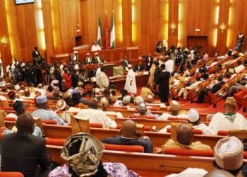 Delta Assembly Declares Udu Lawmaker's Seat Vacant For Defecting To NDC
