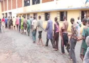 Adamawa police arrest 33 suspects