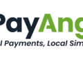 PayAngel expands global payment services through Visa, CurrencyCloud collaboration