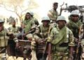 Troops nab 5 suspected bandit informants in Niger