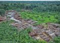 Cross River State Forestry Commission Cracks Down On Illegal Logging, Mining As Forest Reserves Face Rising Threats