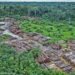 Cross River State Forestry Commission Cracks Down On Illegal Logging, Mining As Forest Reserves Face Rising Threats