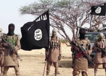 From Hajj to Handcuffs: How 7 Suspected Boko Haram, ISWAP Commanders Were Arrested In Nigeria