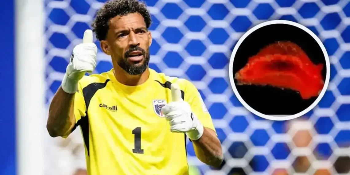 World Cup Hero Vozinha Honoured With Newly Named Marine Species
