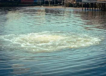 Gas Leakage: FG Urges Collaboration With Bille Community For Lasting Solution