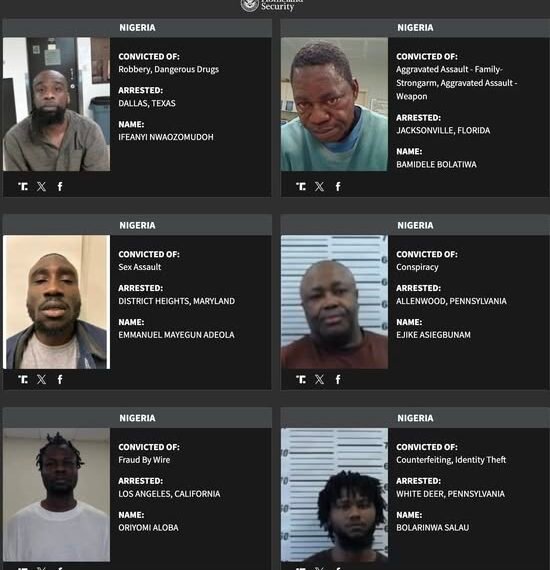 US Publishes List of 124 Nigerians for Deportation Over Criminal Convictions