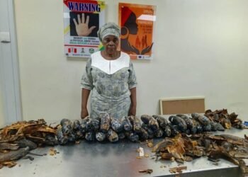 NDLEA Arrest Nigerian-British Grandmother At Lagos Airport With Cocaine Hidden In Plantain Peels
