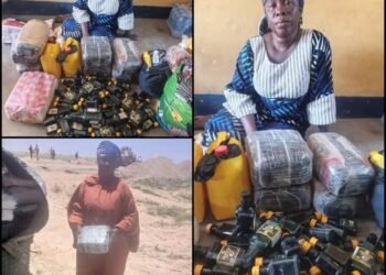 Drug Supply Route To Lake Chad Foiled As Military Intercepts Suspected Courier, Seizes Illicit Drugs