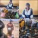 Drug Supply Route To Lake Chad Foiled As Military Intercepts Suspected Courier, Seizes Illicit Drugs