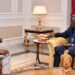 Tinubu Appoints Fayose, 25 Others To Head Federal Agencies, Commissions