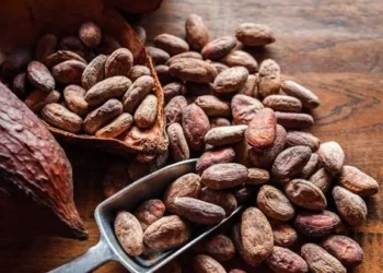 Ban On Raw Cocoa Export: Tinubu Unveils Plan To Process Product Locally, End Chocolate Imports