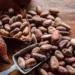 Ban On Raw Cocoa Export: Tinubu Unveils Plan To Process Product Locally, End Chocolate Imports