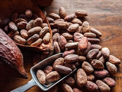 Ban On Raw Cocoa Export: Tinubu Unveils Plan To Process Product Locally, End Chocolate Imports