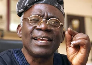 Cash Transfer To Poor Nigerians Is Government’s Legal Duty, Not Charity - Falana