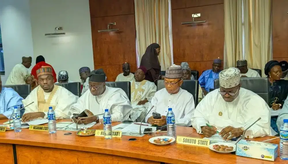 Northern Governors, Emirs Demand Urgent Action on Security, Back State Police, Regional Strategy
