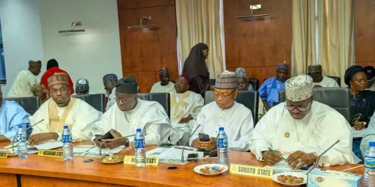Northern Governors, Emirs Demand Urgent Action on Security, Back State Police, Regional Strategy