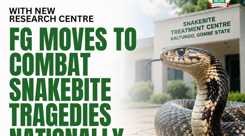 HOW FG Upgrade Of Gombe Snakebite Centre Will Tackle Nationwide Burden
