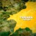 Taraba L-PRES Earns Praise For Transparent Procurement Process On Major Livestock Projects