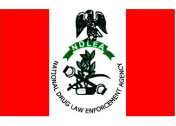 NDLEA Alerts Public Against Fake Vehicle Auction Offers, Fraudsters Impersonating Officials