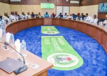 Governors Reaffirm Support For FG's NG-CARES, SOLID, HOPE Programmes