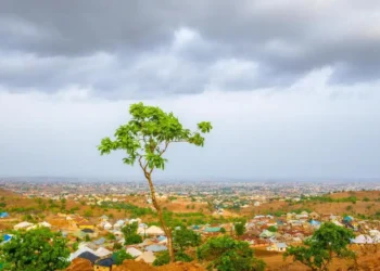 Nigeria Risks Losing International Climate Funding Over Neglect Of Conservation Areas,