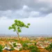 Nigeria Risks Losing International Climate Funding Over Neglect Of Conservation Areas,