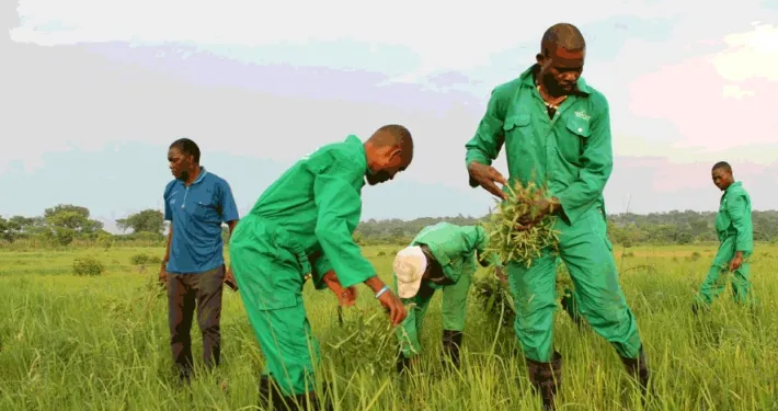 All Farmers Association Of Nigeria Laments Exclusion Of Rivers Farmers From FG Input Distribution