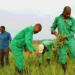 All Farmers Association Of Nigeria Laments Exclusion Of Rivers Farmers From FG Input Distribution