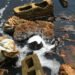 The Boiling waters of Bille