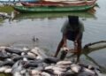 Illegal Fishing By Foreign Nationals: Cross River Government Orders Investigation Into Alleged Takeover Of Local Waterways