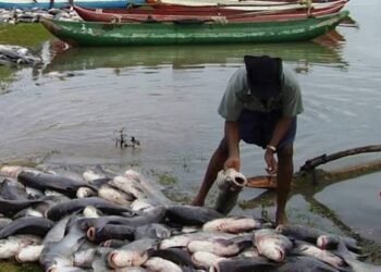 Illegal Fishing By Foreign Nationals: Cross River Government Orders Investigation Into Alleged Takeover Of Local Waterways
