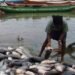 Illegal Fishing By Foreign Nationals: Cross River Government Orders Investigation Into Alleged Takeover Of Local Waterways