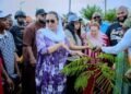 Sen. Akpoti-Uduaghan Launches 10,000-Tree Campaign To Combat Climate Change In Kogi Central